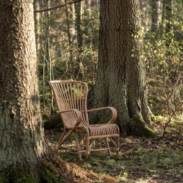 Luonnonvärinen Vintage tuoli keskellä metsää